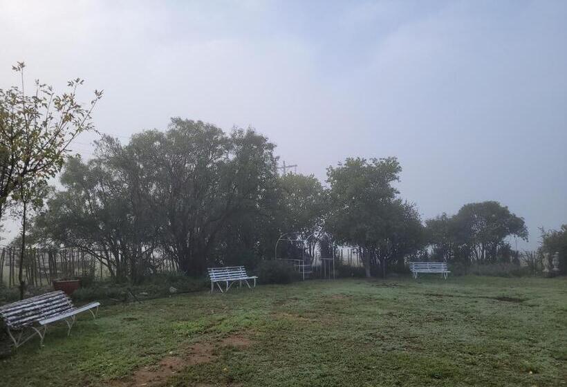 At The Nest Bed & Breakfast Guesthouse