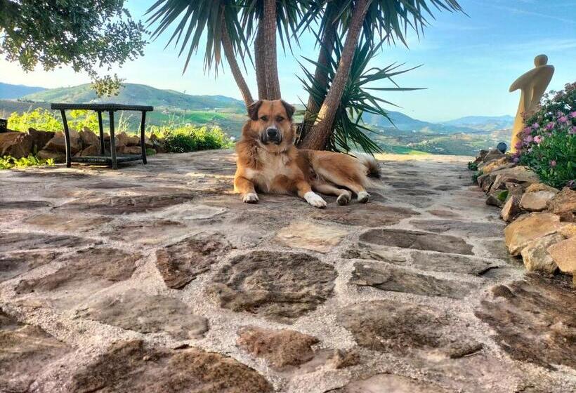 Bed & Breakfast Casa Sinne