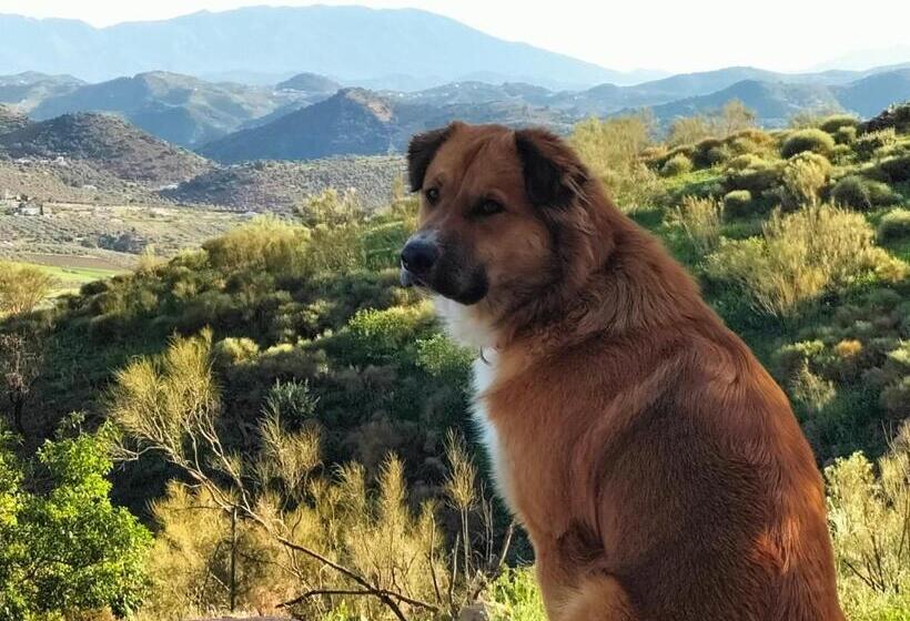 Bed & Breakfast Casa Sinne