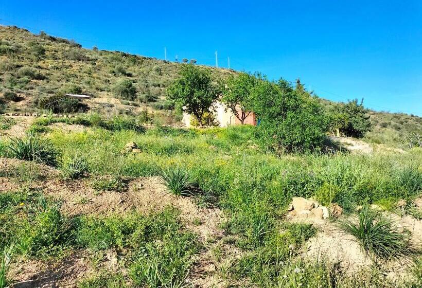 Bed & Breakfast Casa Sinne