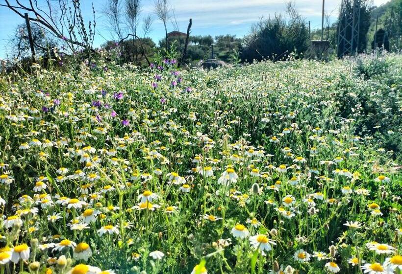 Bed & Breakfast Casa Sinne