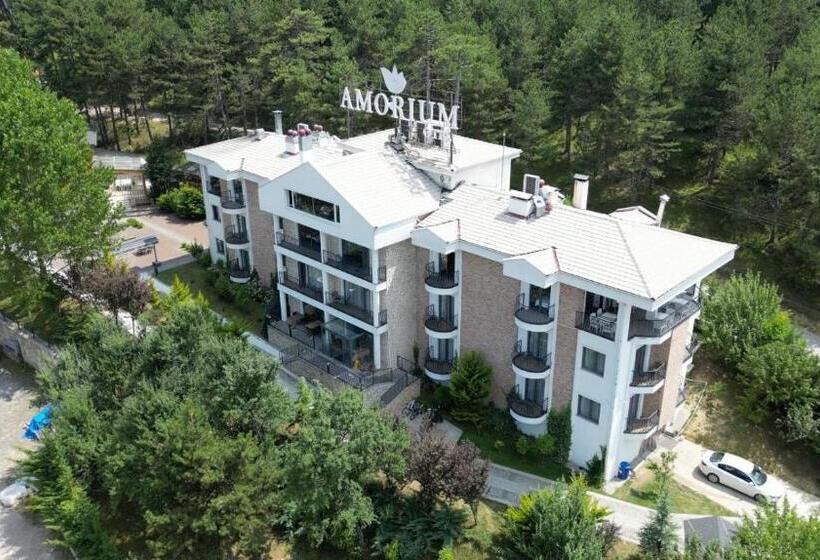 Amorium Hotel & Wooden Stone House