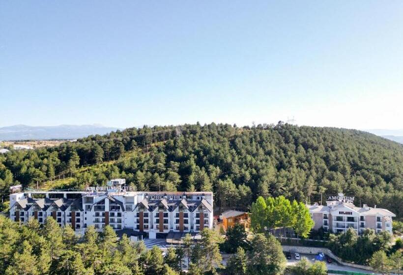 Amorium Hotel & Wooden Stone House