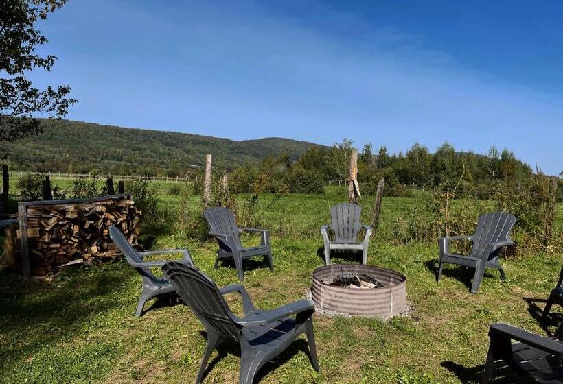 호텔 La Belle Excuse