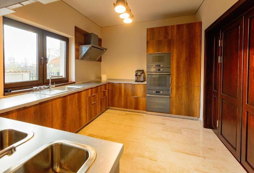 בית מלון כפרי Pensiunea Carmel