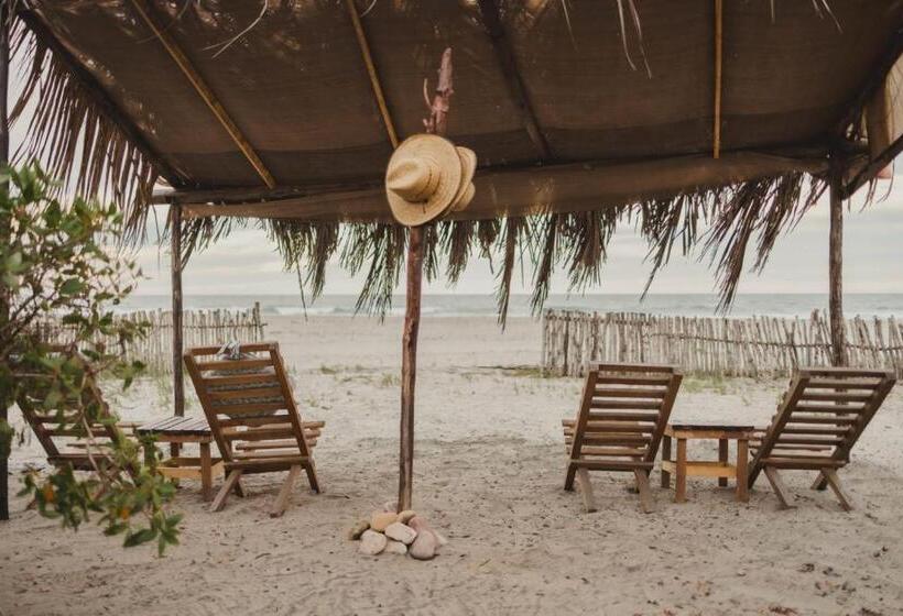 هتل Tres Velas Surf