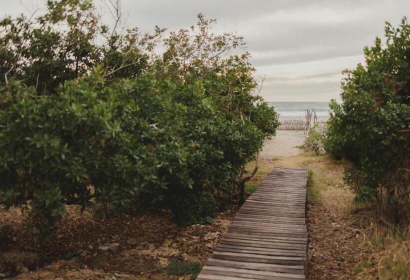 هتل Tres Velas Surf