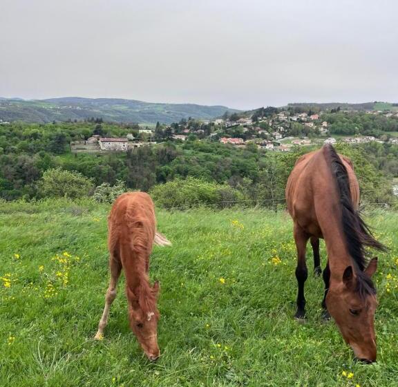 Пансион Les Petites Bulles De Massier