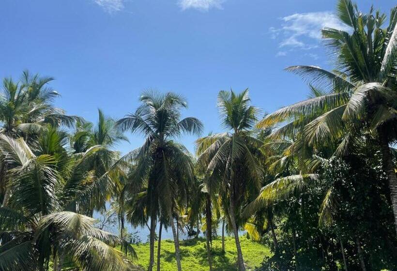 بنسيون River Gate Villa