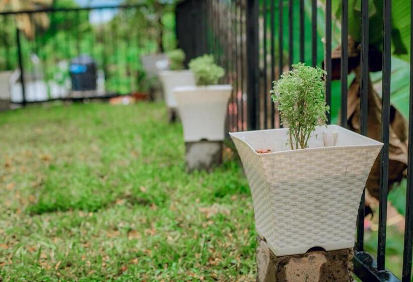 بنسيون River Gate Villa