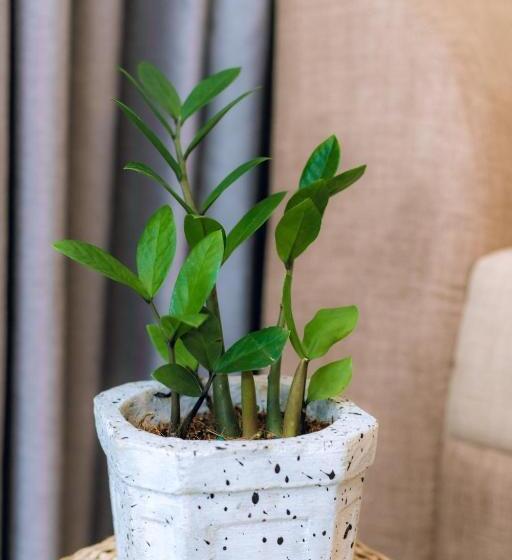 بنسيون River Gate Villa