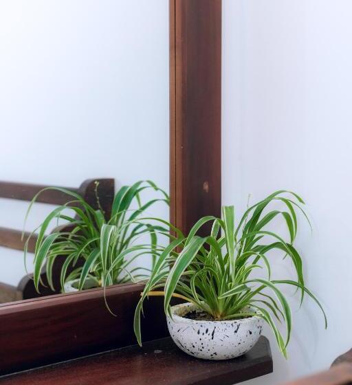 بنسيون River Gate Villa