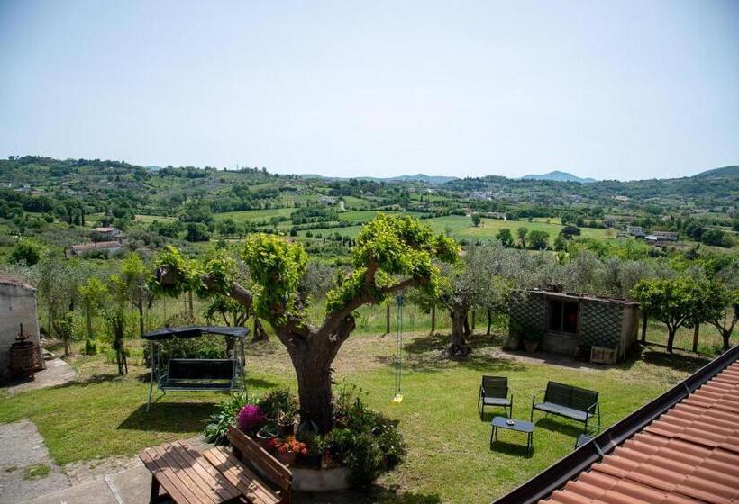 Bed and Breakfast Sentiero Degli Ulivi Mascia