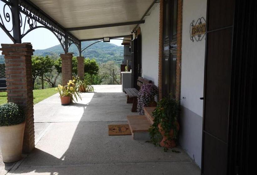 住宿加早餐  Sentiero Degli Ulivi Mascia