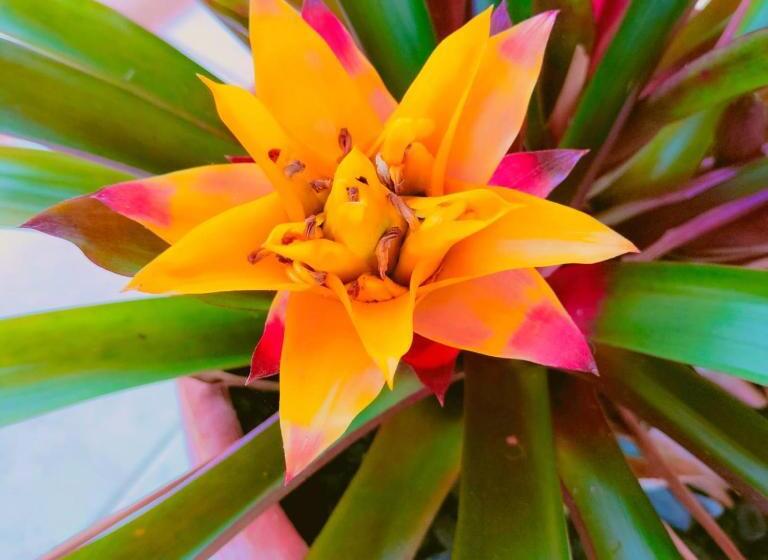 فندق La Cabaña Eco