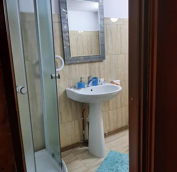 پانسیون Casa Iris Slanic