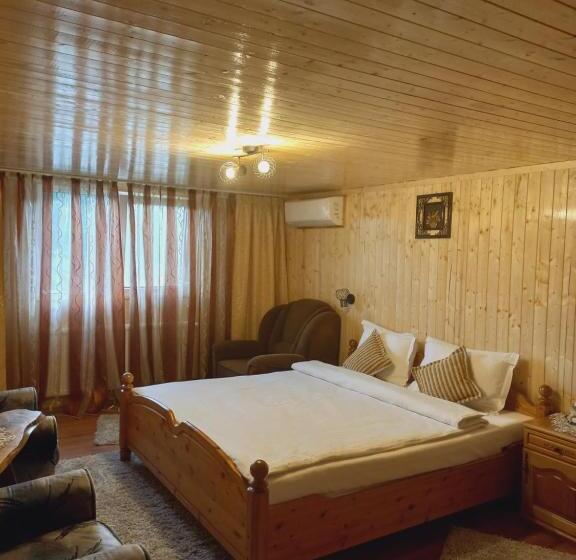 بنسيون Casa Iris Slanic