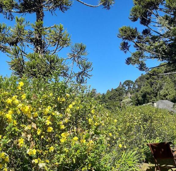 ペンション Pippo Suítes Campos Do Jordão