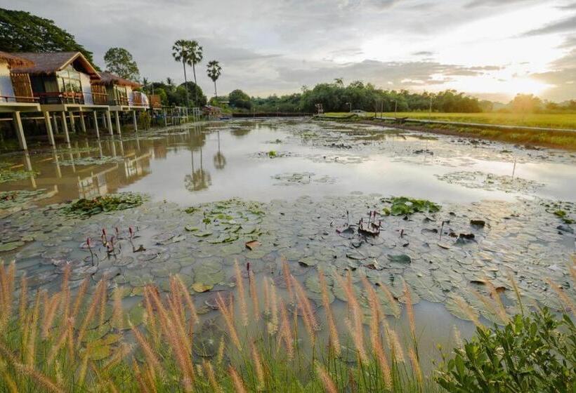 渡假胜地  Nornnadubua นอนนาดูบัว