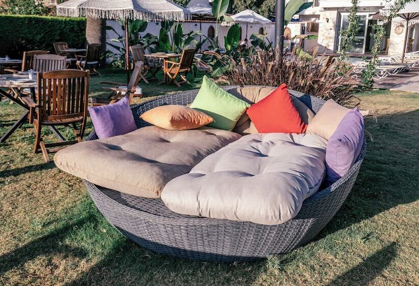 مبيت وإفطار Sun Paradise