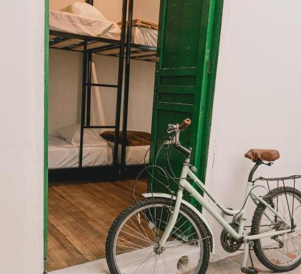 Общежитие Wild Monkey