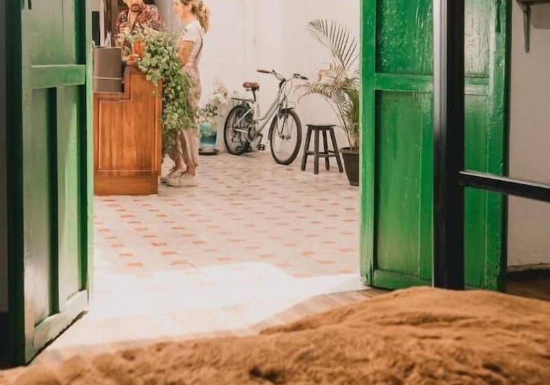 Общежитие Wild Monkey