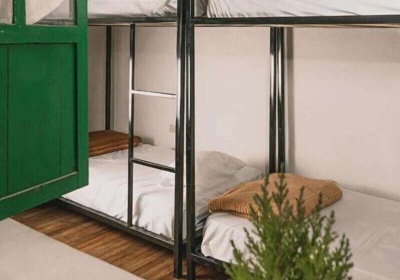 Общежитие Wild Monkey