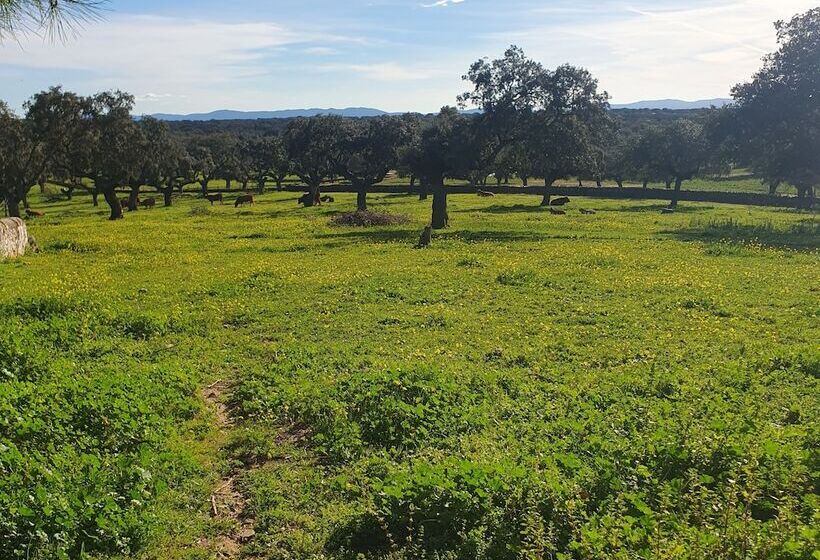 فندق Rural El Vaqueril