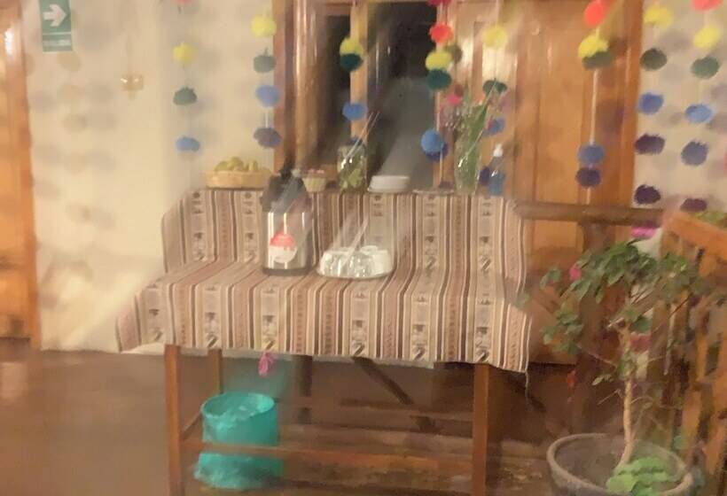 تختخواب و صبحانه Pacha House