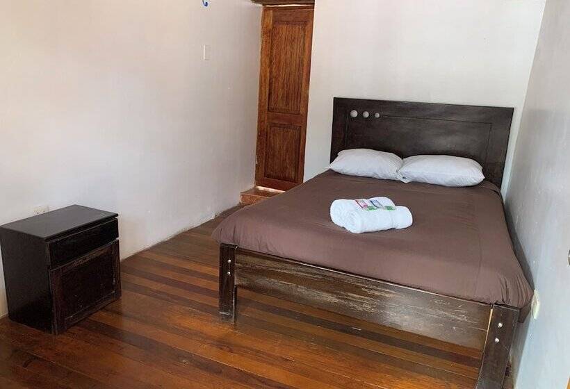 تختخواب و صبحانه Pacha House