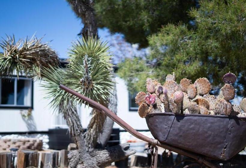 Bed and Breakfast Wind Desert Spirit Pioneertown