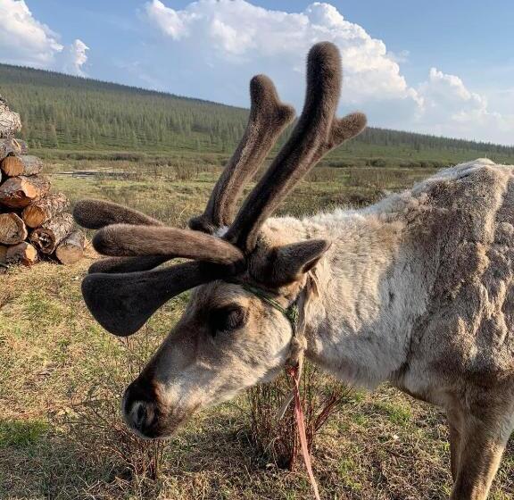 پانسیون Gan Oyu Guest House