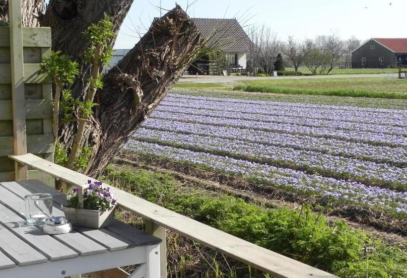 Appels En Peren Bed And Breakfast