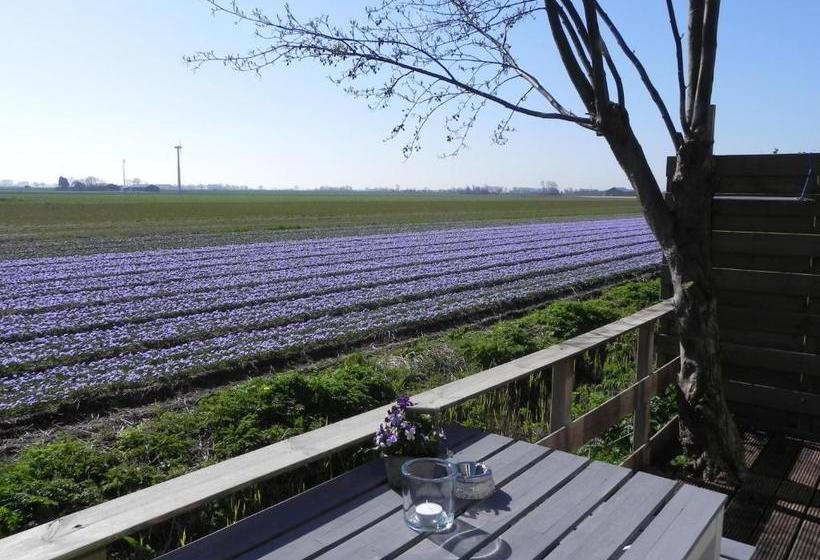 Appels En Peren Bed And Breakfast