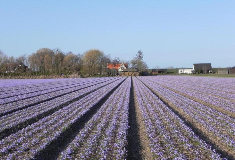 Appels En Peren Bed And Breakfast