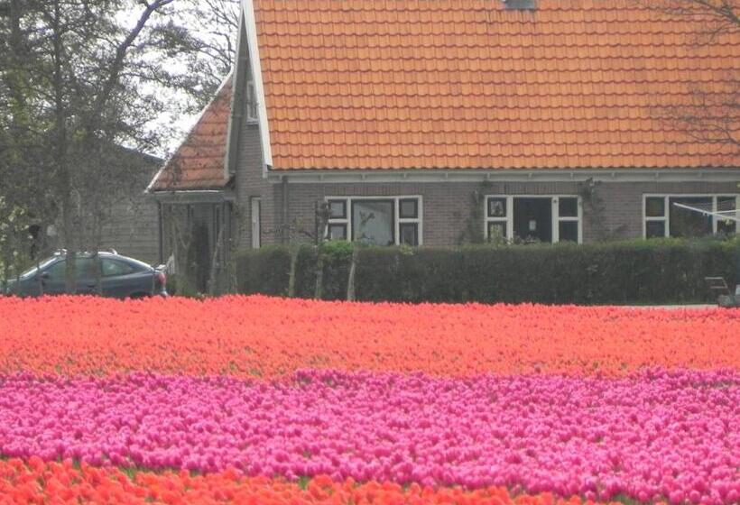 Appels En Peren Bed And Breakfast