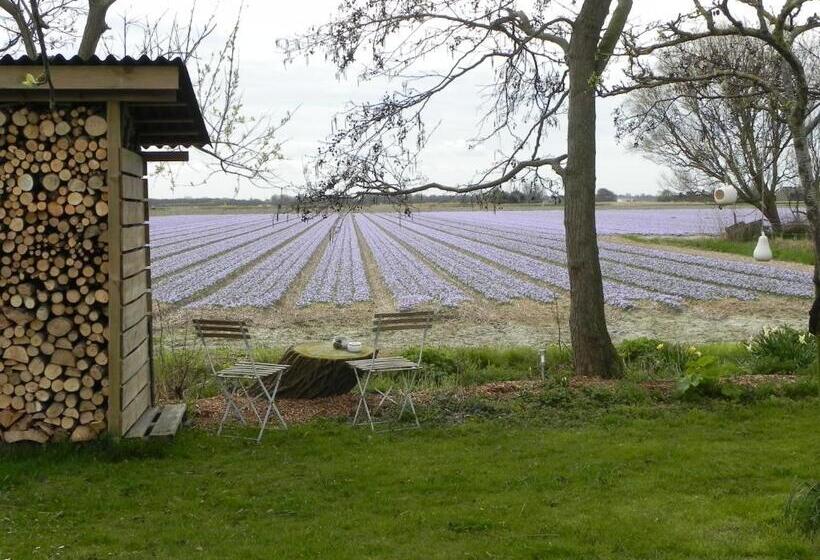 Appels En Peren Bed And Breakfast