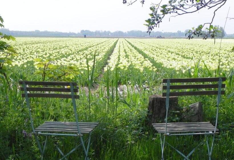 Appels En Peren Bed And Breakfast