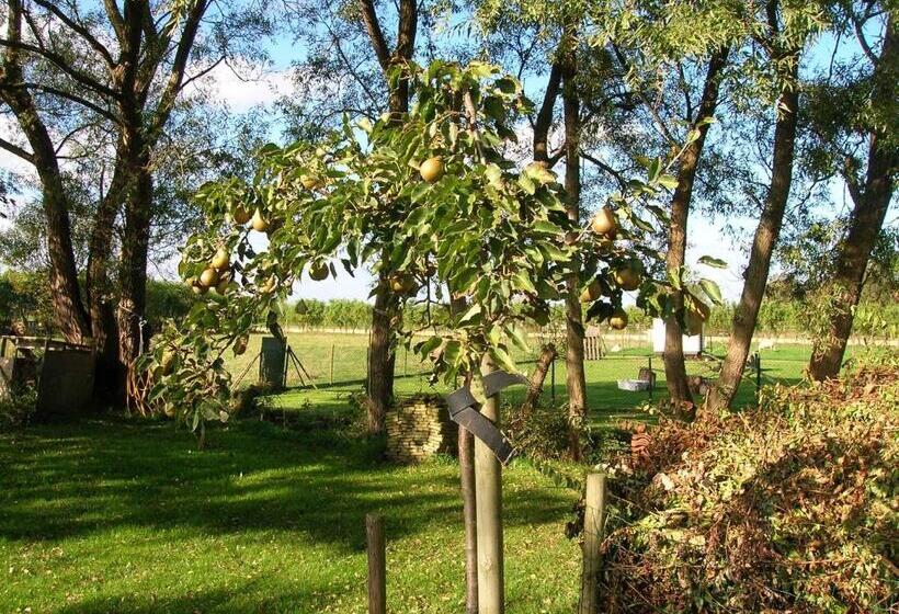 Appels En Peren Bed And Breakfast