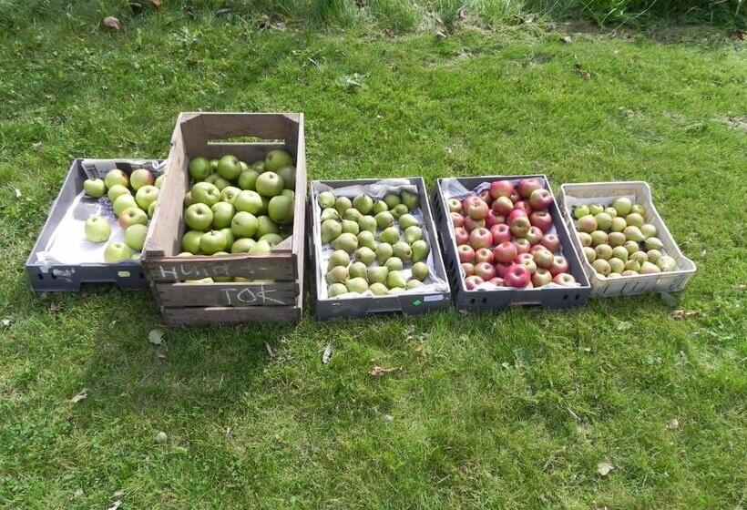 Appels En Peren Bed And Breakfast