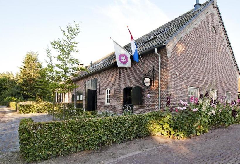 B&b De Ouw Skuur