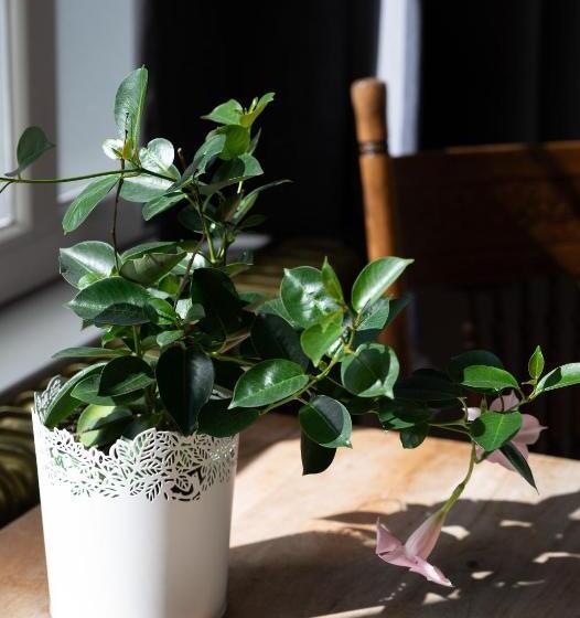 B&b Het Oude Postkantoor