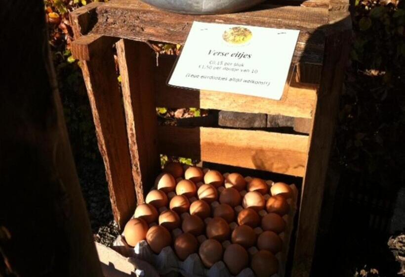 B&b Hofstede De Groote Laar