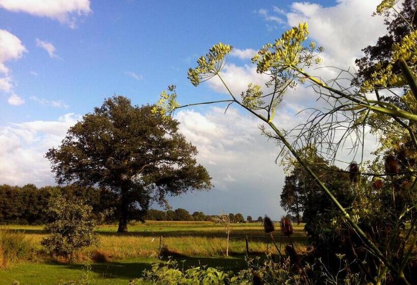 مبيت وإفطار De Bolderie
