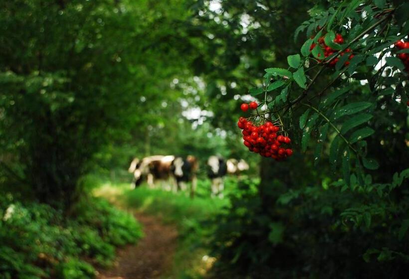 مبيت وإفطار De Bolderie