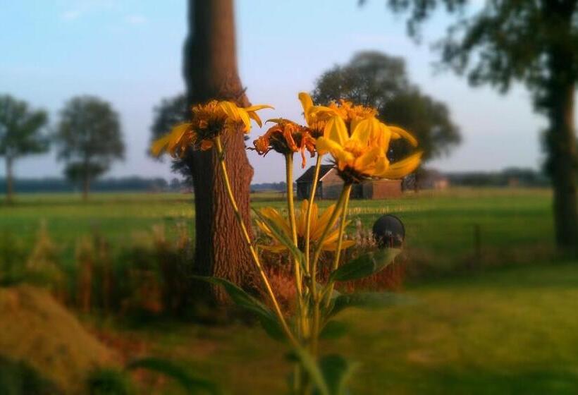 مبيت وإفطار De Bolderie