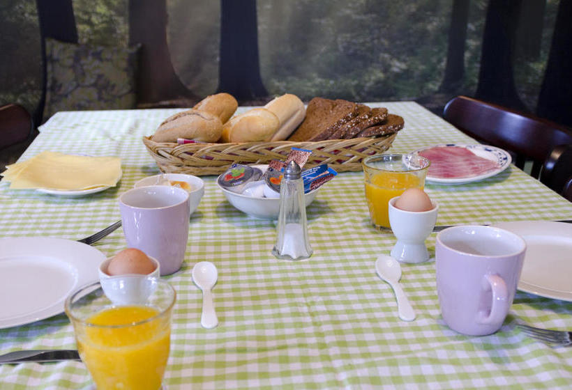 Bed And Breakfast De Grote Byvanck