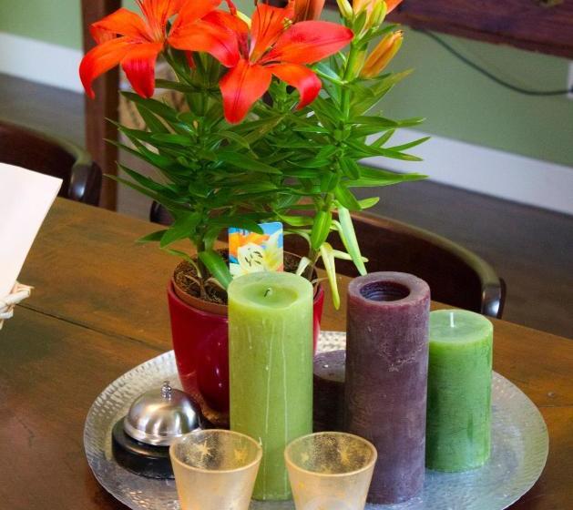 Bed And Breakfast De Grote Byvanck