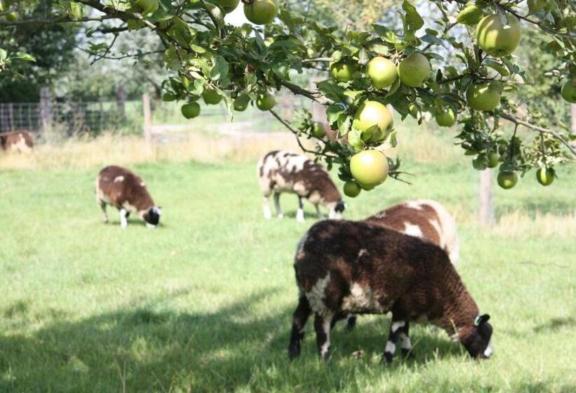 צימר De Nachtdijk