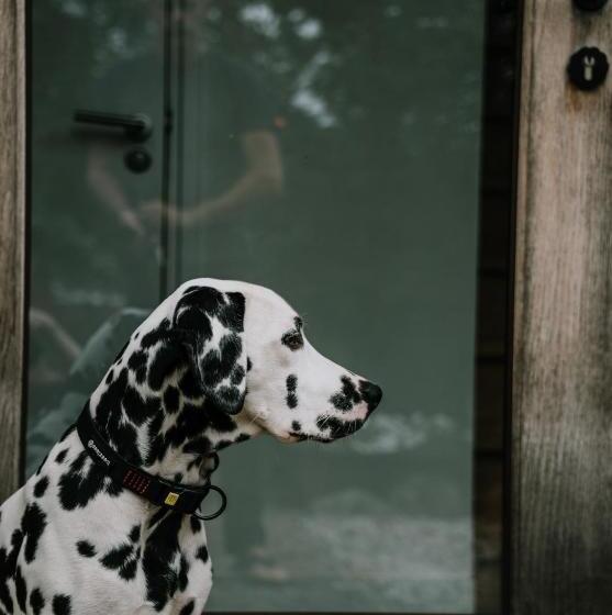 צימר De Vijf Suites